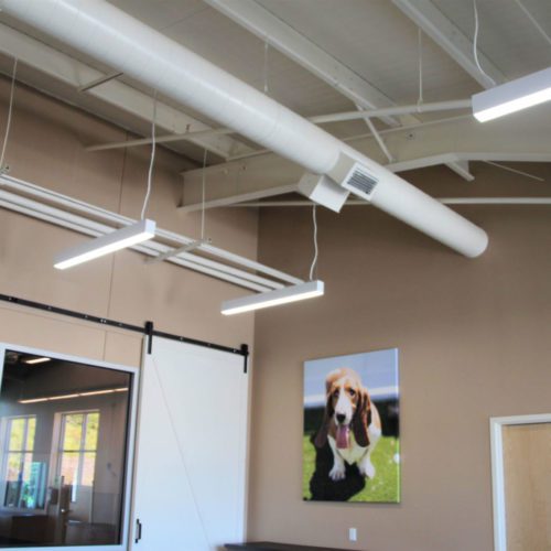 Learn how our prefabricated steel constuction services can empower your project today!