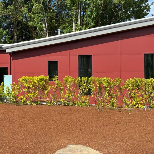 Custom Complex Steel Buildings by EcoSteel